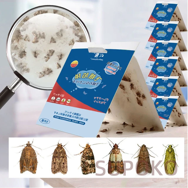 Recommend BEST Moths Killer Strong Adhesion Moth Trap Stick Paper