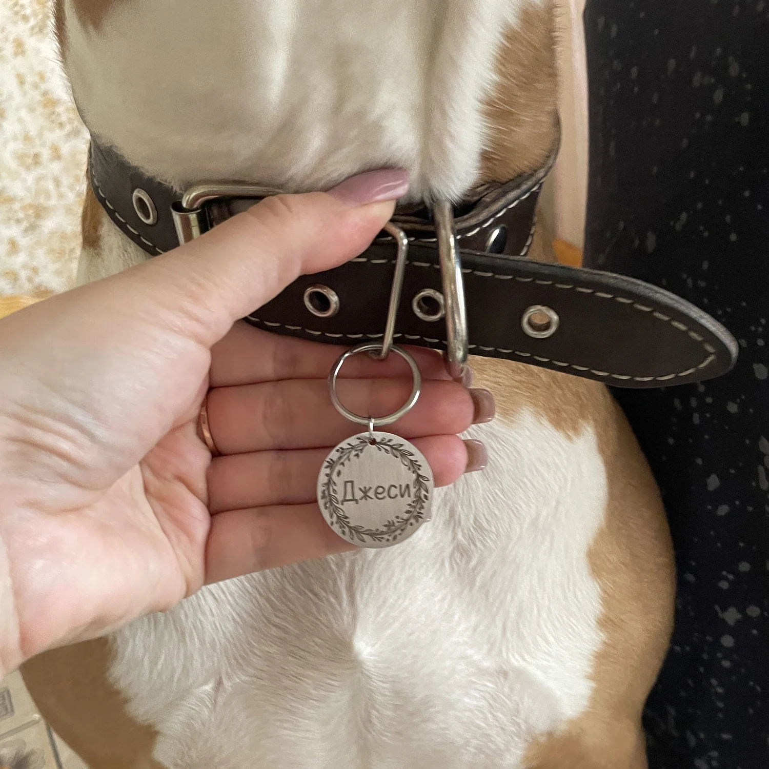 Personalized Dog Cat Pet ID Tags  Engraved Cat Puppy  Pet ID Name Number Address Collar Tag Pendant Pet Accessories