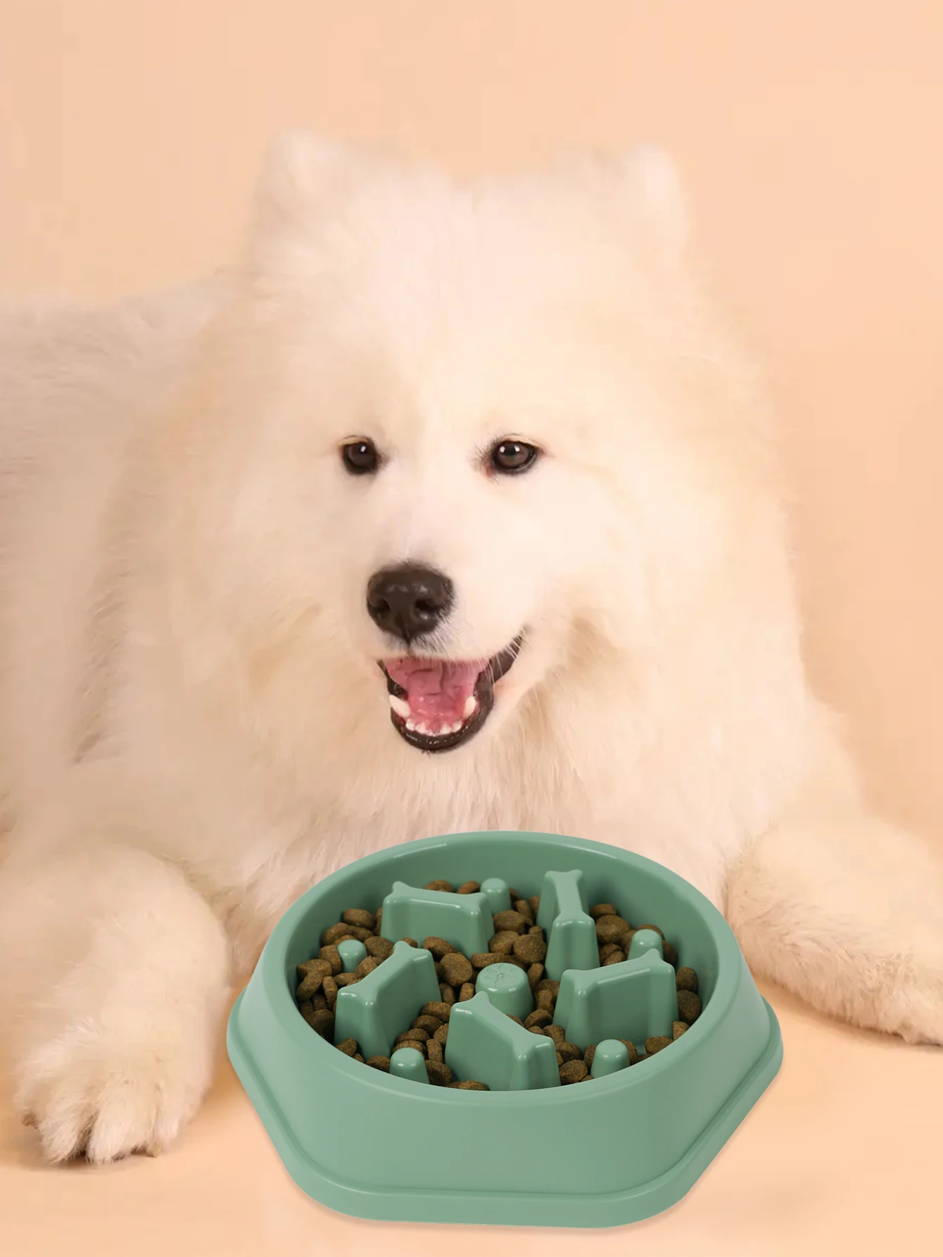 Title 5, A plastic solid color bone pet dog slow food bo...