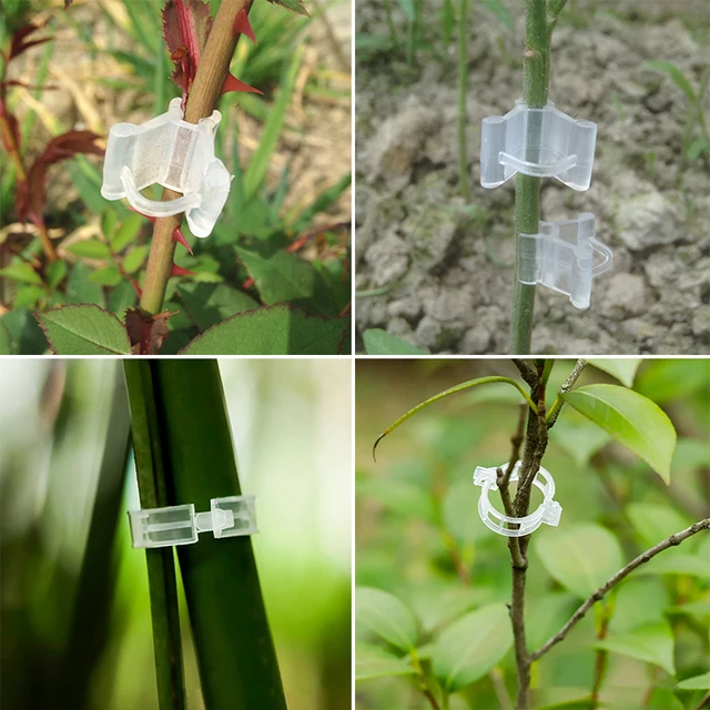 50 db Növényi Oltó Klip Ágakhoz Palánták Virágszőlő Kötőelemek Clamp Műanyag Támogató Klipek Kerti Mezőgazdasági Eszköz - Image 6