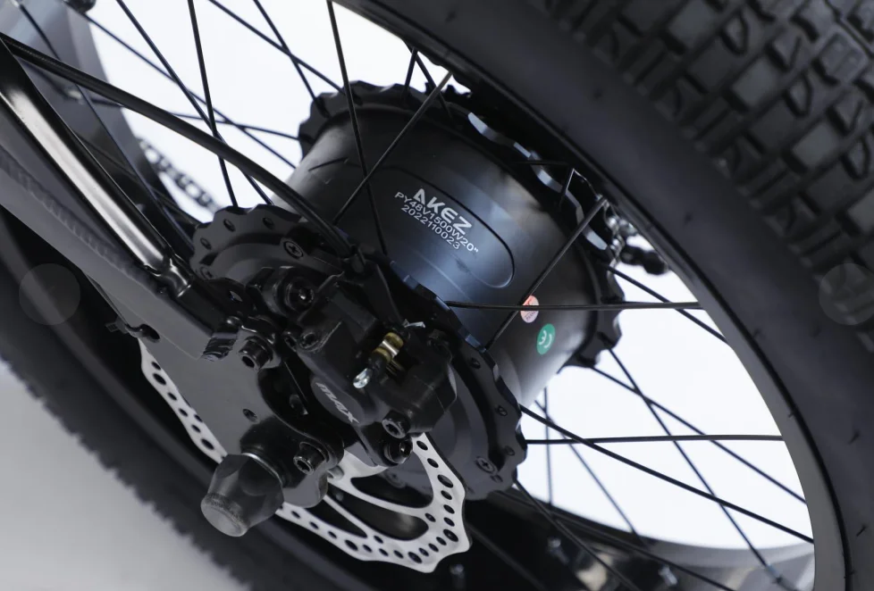 AKEZ 48V 750W/1500W motor 18AH 20*4.0-inch fat tires Adult Mountain Off-road Electric Bicycle All-terrain