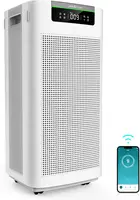 13 & Activated Carbon Filters, Air Cleaner Remove Dust Pollen Smoke All 1