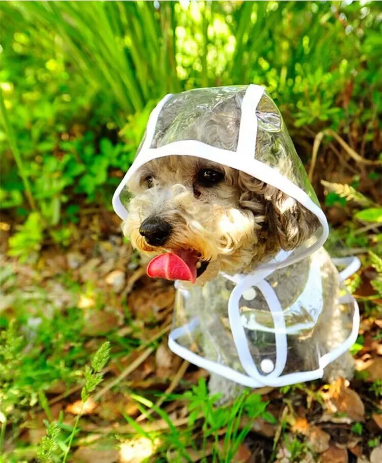 Pet Dog Raincoat Clothes Puppy Transparent  Rain Slicker Waterproof Dogs Jumpsuit Pet Clothing for Small Large dogs XS-7XL images - 6