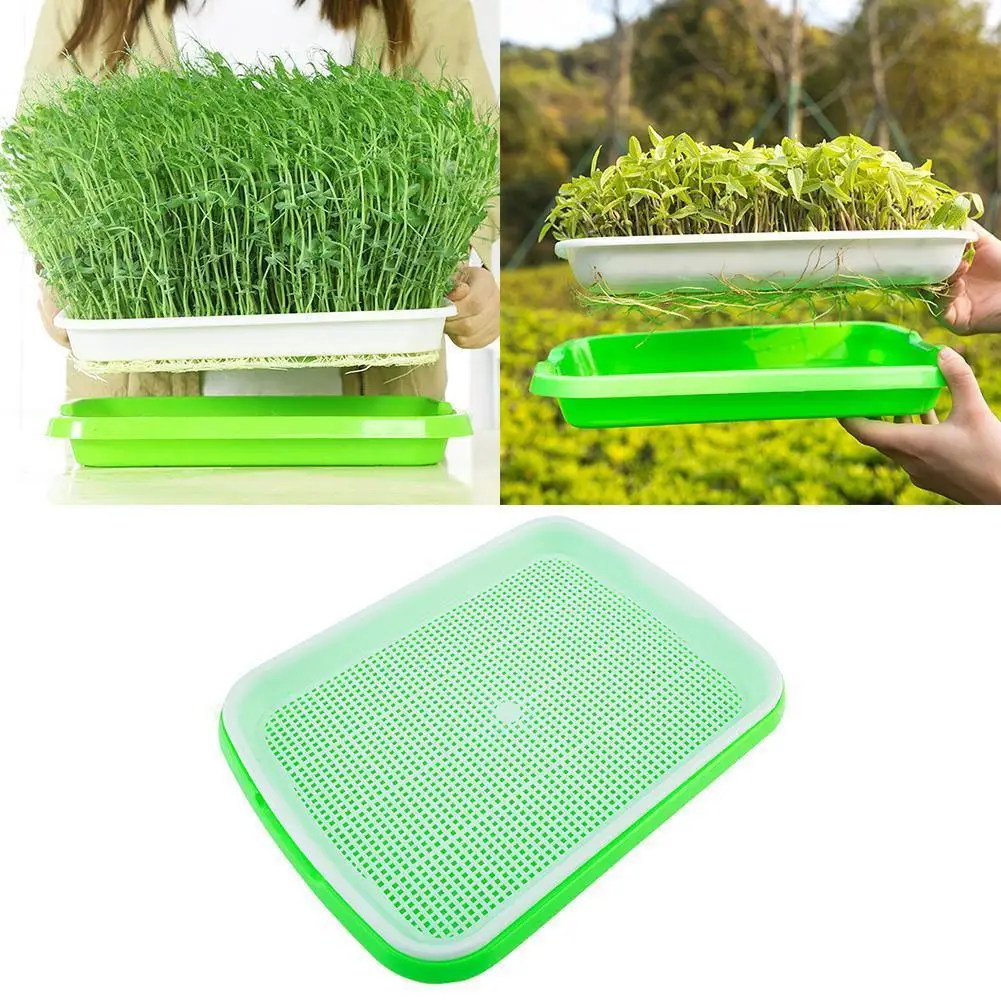 Double Layer Seedling Tray Bean Pea Wheatgrass Seedling Sprout Plate Growing Planting Dishes Nursery Pots Germination Tray ceramic plant pots