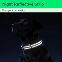 Waterproof Air Tag Dog Collar with AirTag Holder, Reflective Soft Padded & Safety Buckle, AirTag Pet Collar Adjustable for Dogs 4