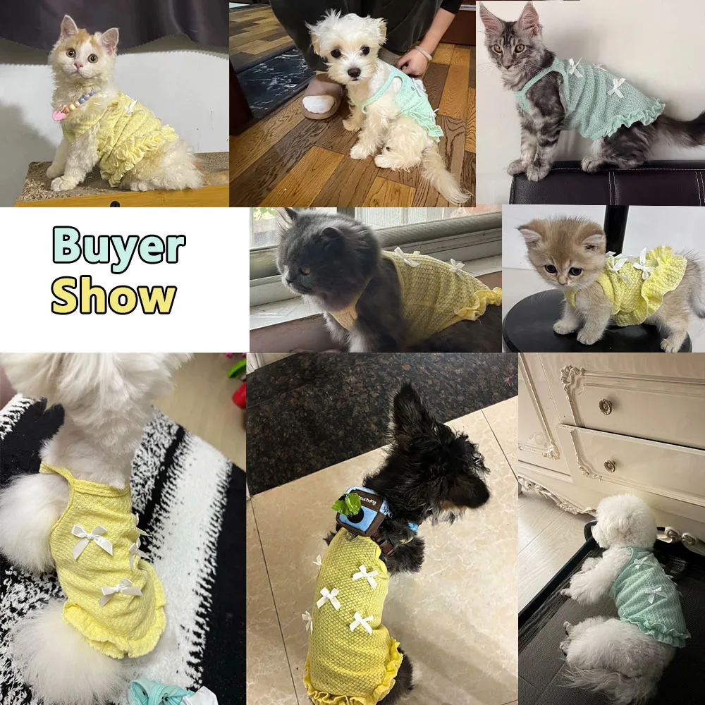 귀여운 패션 강아지 조끼 서스펜더 조끼 부드럽고 피부 친화적인 통기성 좋은 스웨트셔츠 강아지 고양이 비숑 캐주얼 여름 애완동물 의상