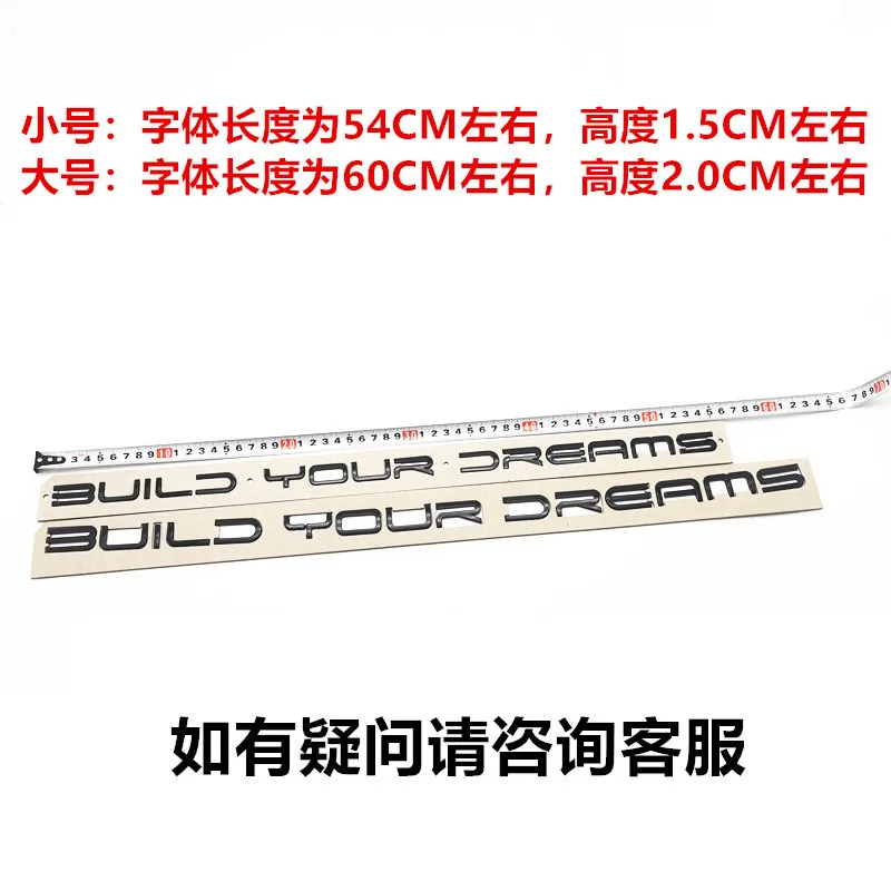 BYD 한 송 탕 진 플러스 밝은 검정색 후면 레이블 한자 DM EV
