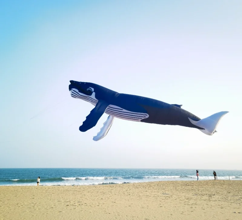 16m whale multicolor fabric splicing skate pendant kite kites for