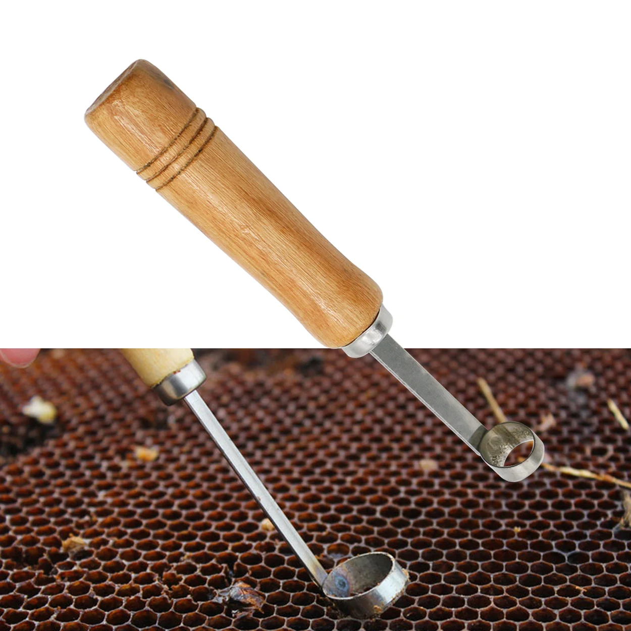 Description Picture 6 of itemNo-graft Queen Rearing Kit Comb Foundation Cutter For Queen Bee Rearing Beekeeping Equipment Bee Extractor Tool Cutting Beehive