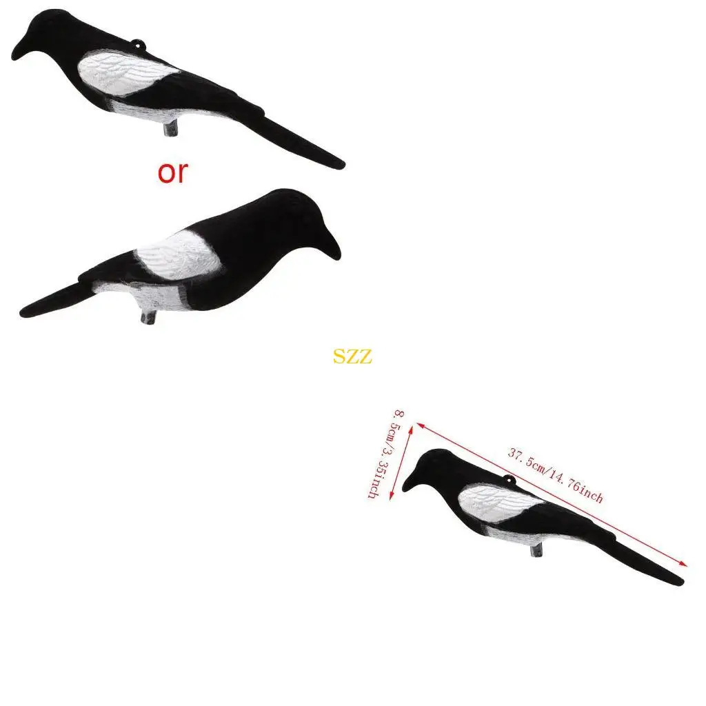 Leurre pie peint coquille extérieur tir appâts - Leurres appâts pour chasse aux oiseaux colorés