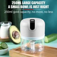 Mélangeurs multifonctionnels électrique ménage ail Masher hachoir à viande bébé aliments supplémentaires remuant l'ail légumes hachoir 5