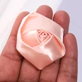 Peach Puff