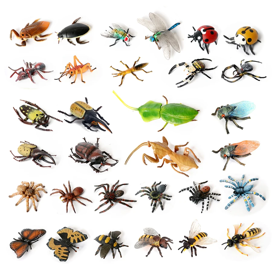 Realistic Insect Figurine Set - Educational Toy Collection