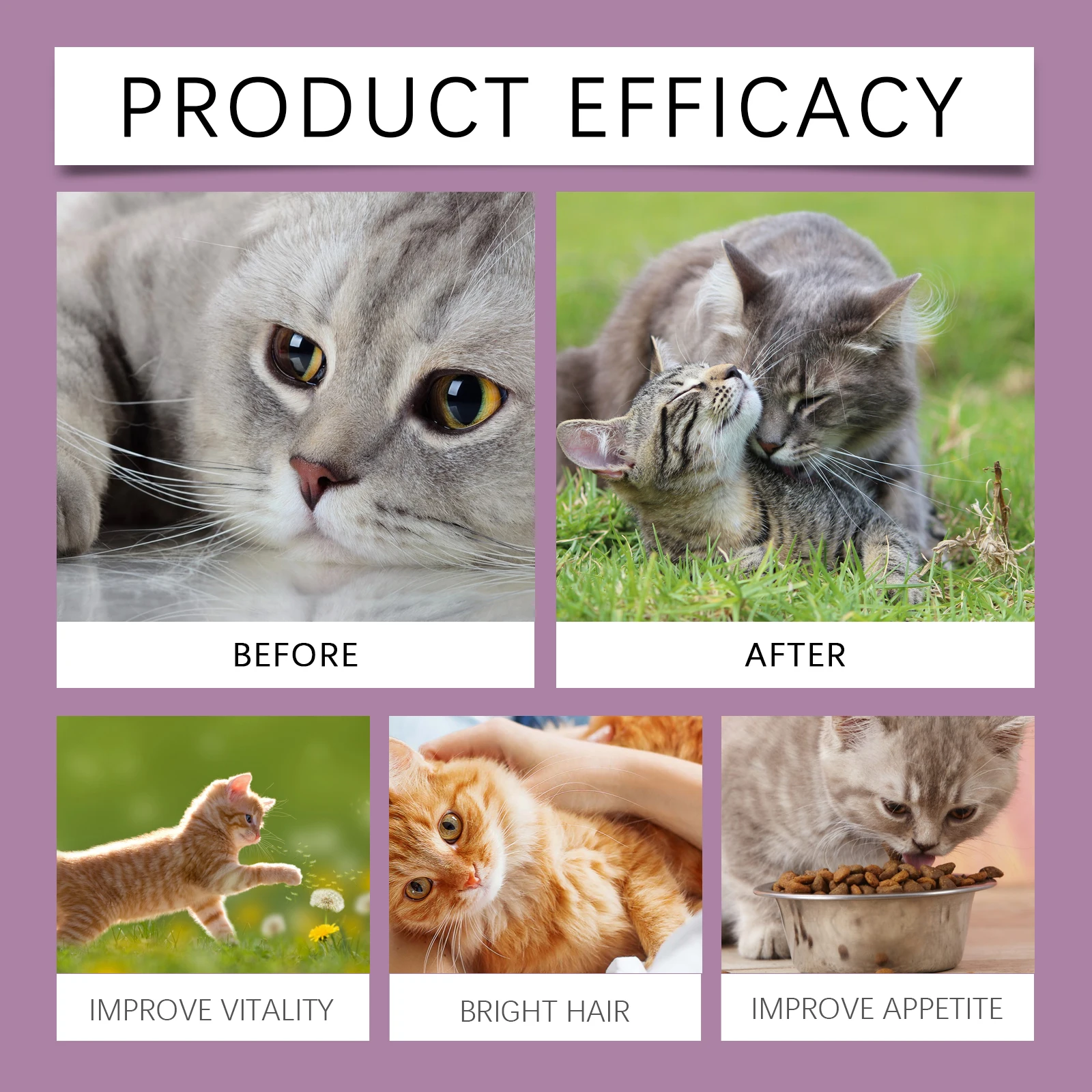 Feline L-lysine tablets For Cats Tablet To Enhance The Immunity Of Pet Cats,Keep Cats In Good Health Natural Ingredients