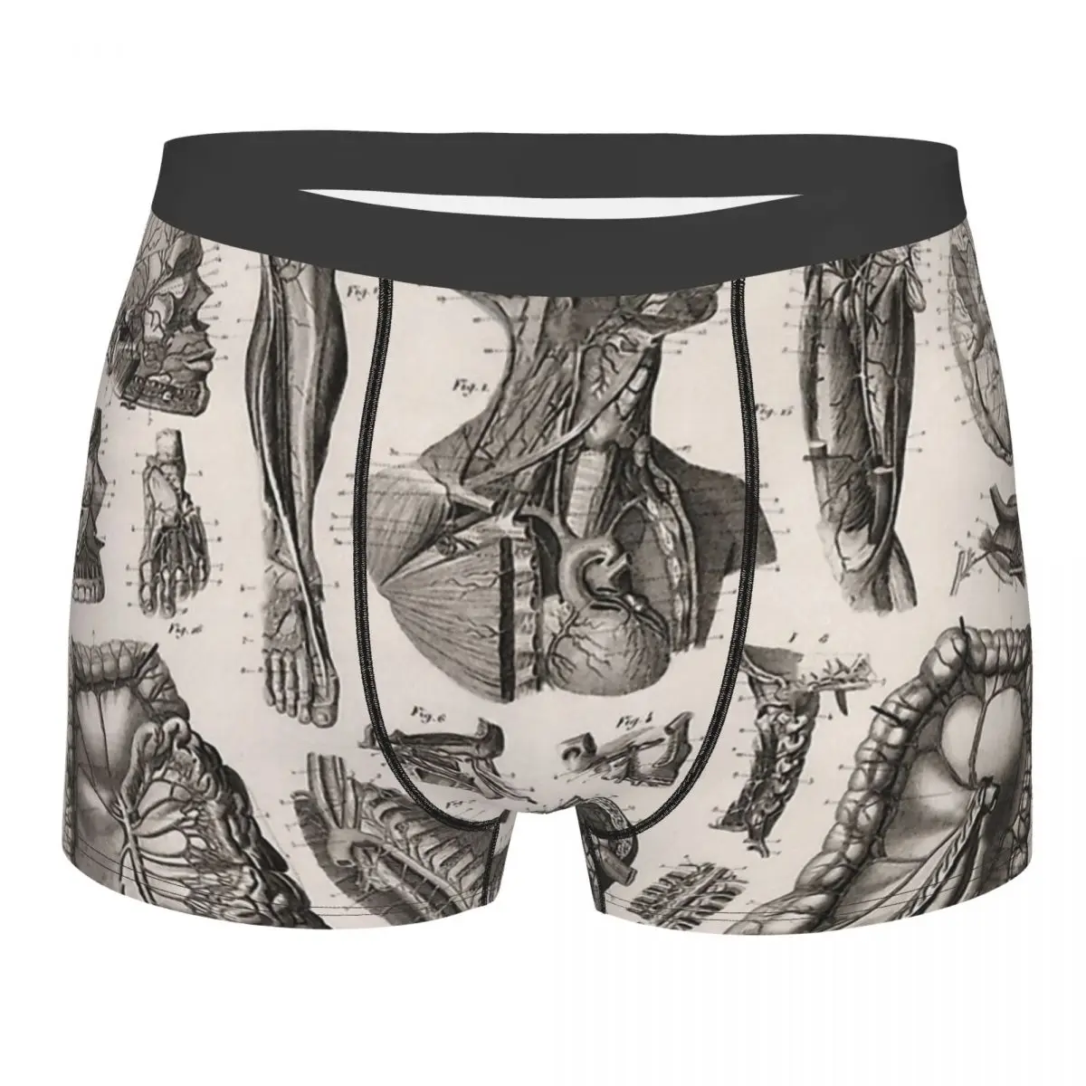 

Bones Skeleton Souls 1857 Diagram Anatomy Including The Nerves Underpants Cotton Panties Men's Underwear Sexy Shorts Boxer Brief