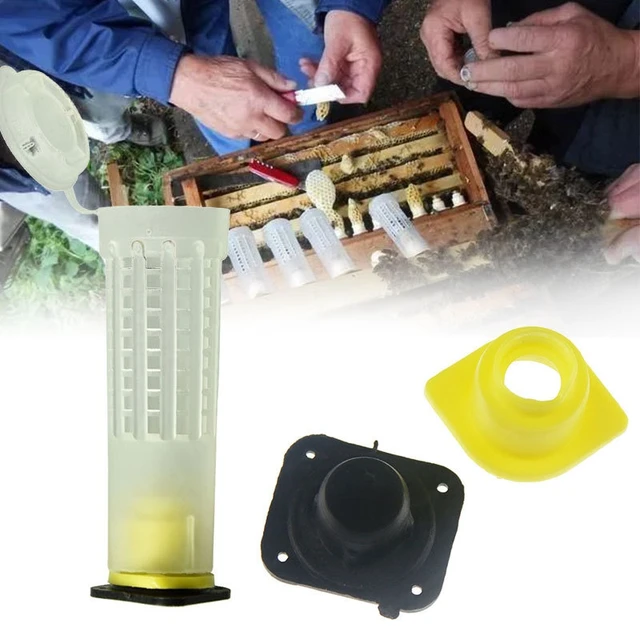 1 Beállított Méhek Szerszámok Ketrecei Király Queen Méh Méhész Fogó Tenyésztő Cupkit Rendszer Doboz Cellák Ketrec Nicot Apicultura Teljes Készlet - Image 2