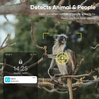 LS VISION 4MP 4G caméra de sécurité solaire sans fil extérieure WiFi détection humaine/animal conversation bidirectionnelle IP66 étanche caméra de faune 2