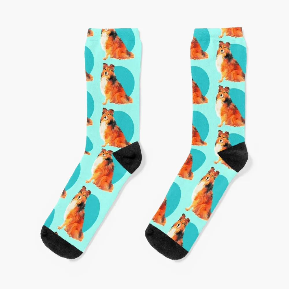 Cute Sheltie Shetland Sheepdog on teal background graphic design art Socks Hiking boots Socks Male Women's large size 3xl men autumn new knitting sweaters winter warm coats mens love print top cardigans male pocket design sweater 2022