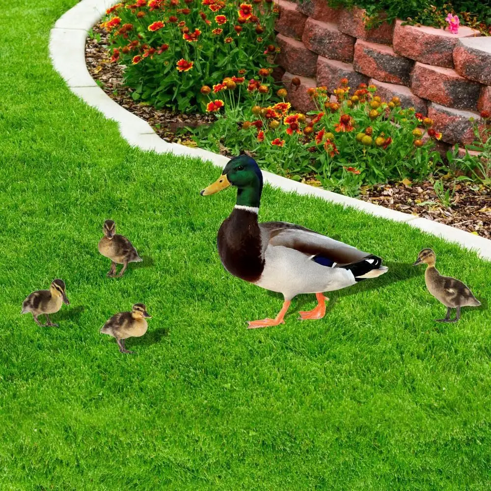

Acrylic Lifelike Premium Sturdy Garden Decorative Piles Outdoor Decorations Duck Stake Decor