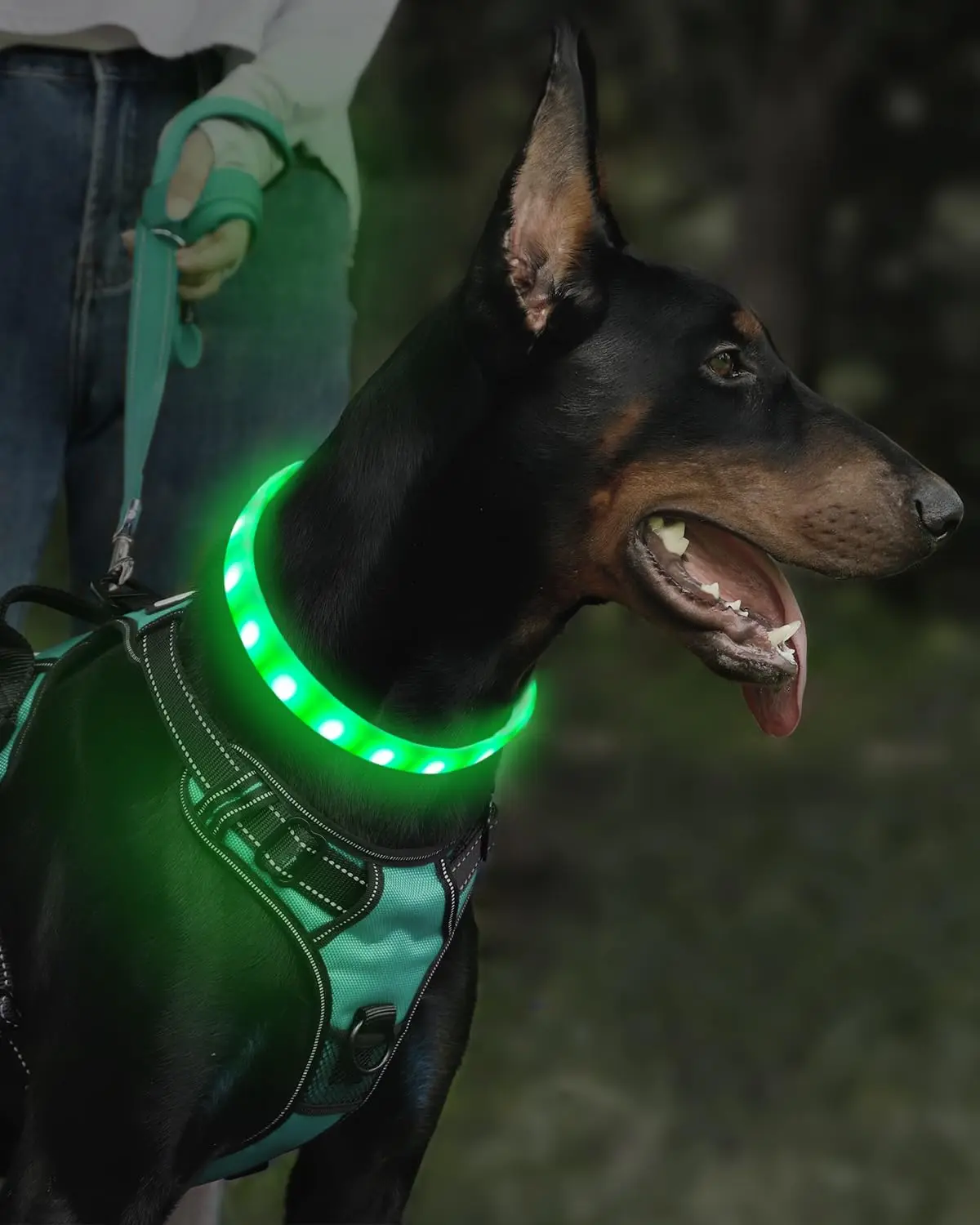 Lightweight USB Rechargeable Collar for Large Medium and Small Dogs Glowing Dog Collar 9 Flashing Modes Soft Silicone Glowing dog collar pet collar