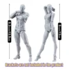 2 Pcs Body Doll Artists Manikin Jointed Mannequin Drawing Figures 6