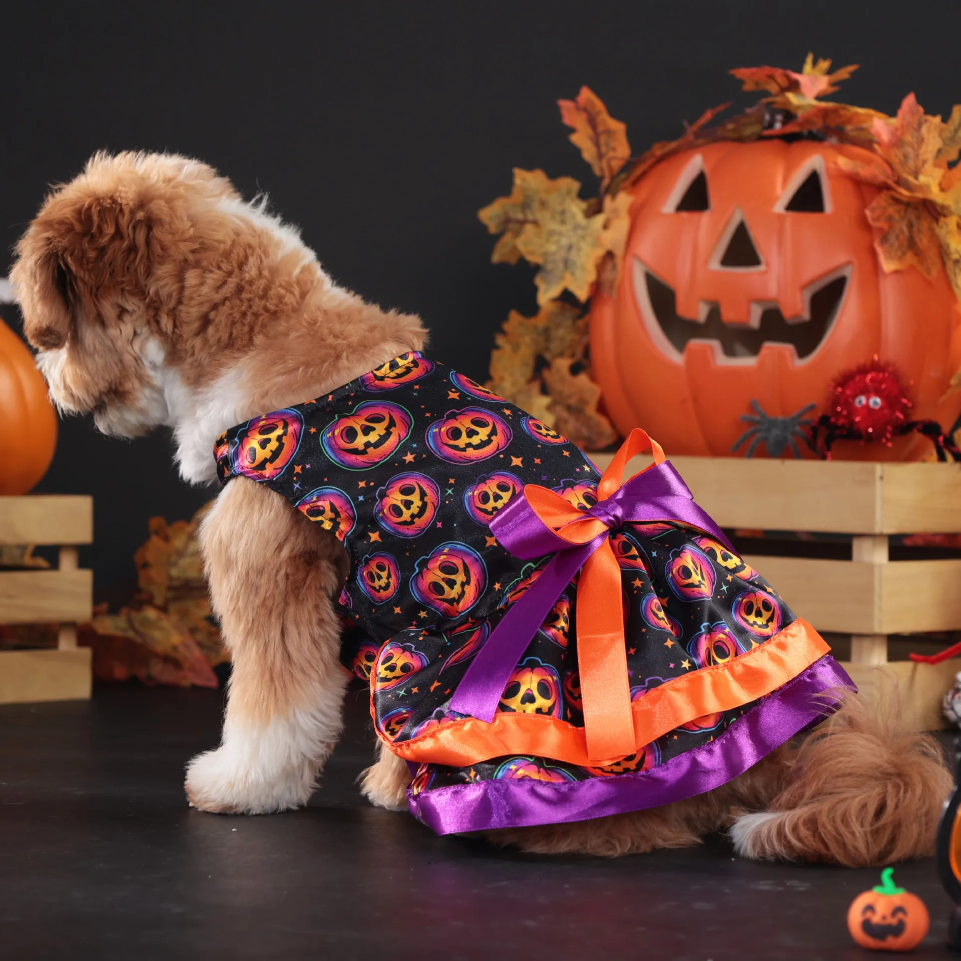 Robe Colorée Citrouille pour Chiens - 2025 - Doglovedesign : Vêtement et accessoires pour chiens