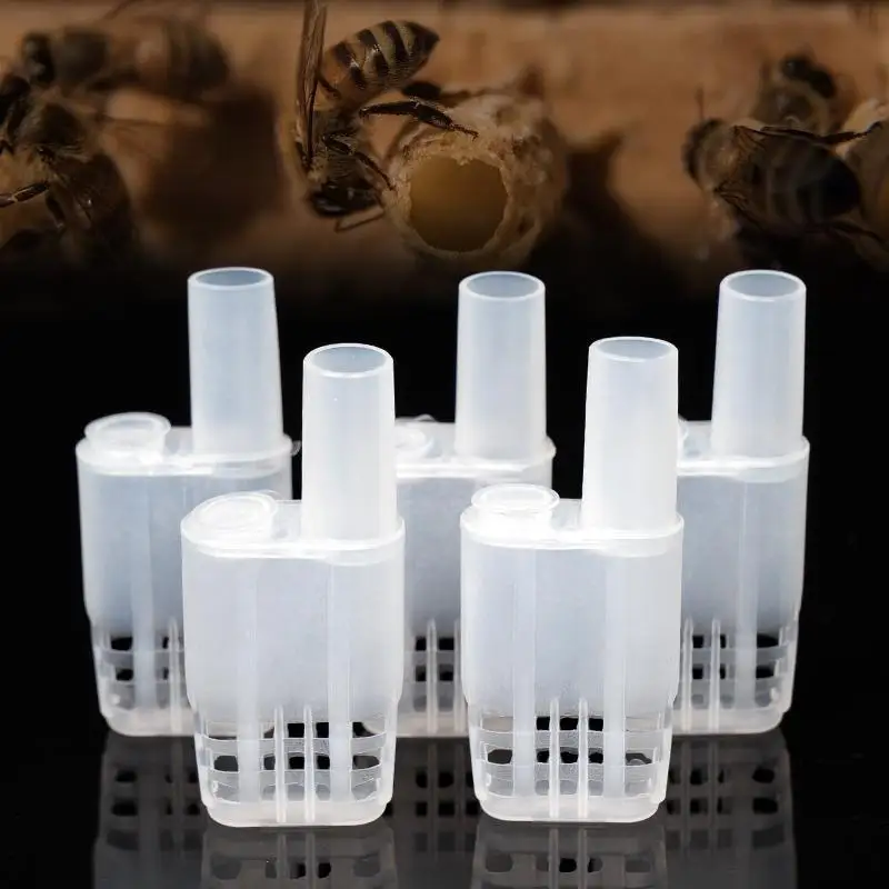200Pcs Plastic White Bee Queen Cages Beekeeping Bee Marking Cages Transfer Bottle Apiculture Equipment Protection Tools