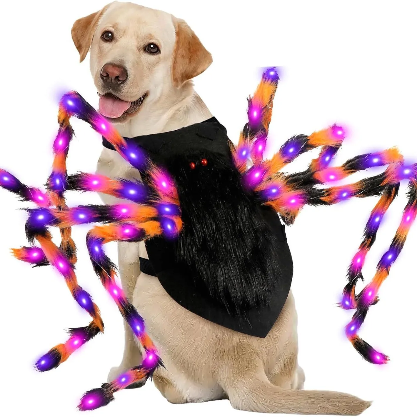 Glowing Spider Dog Costume 1