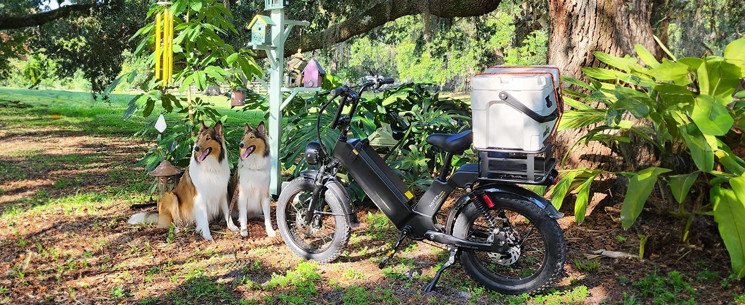 electric bike