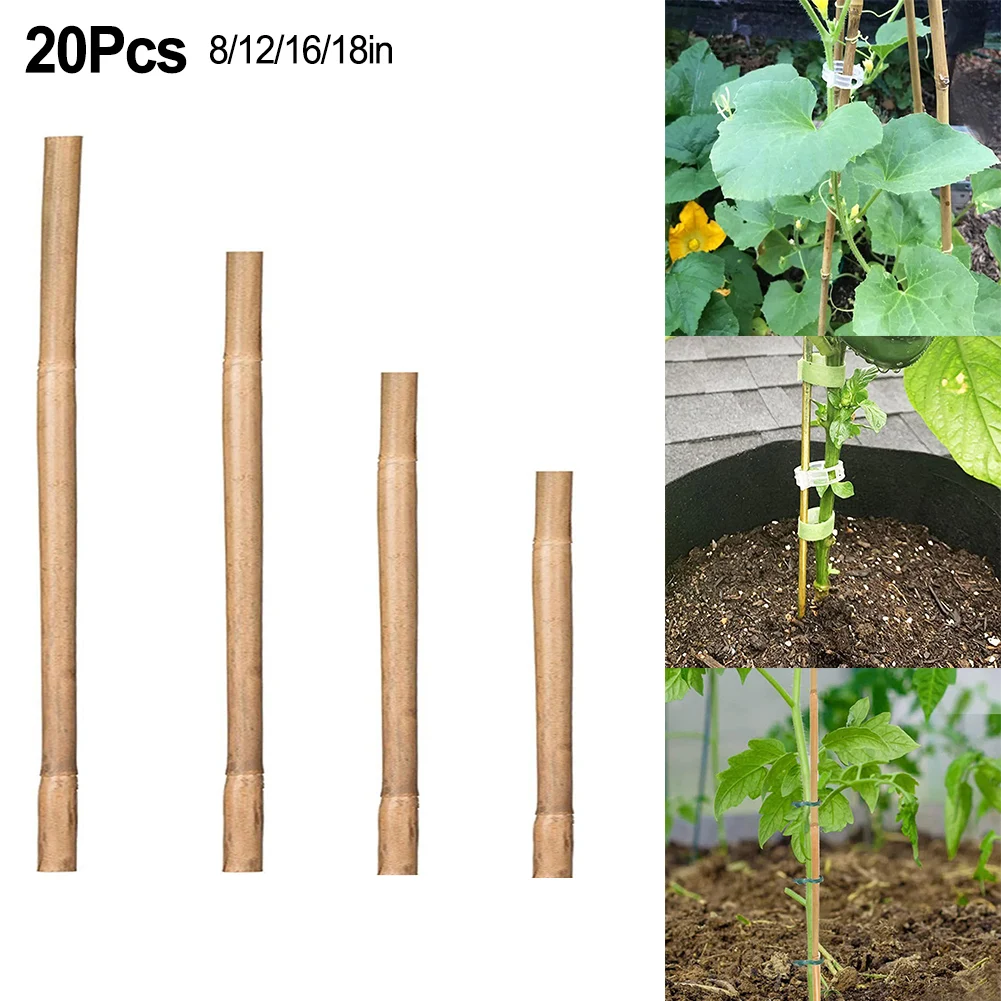 Plant Support Stakes 20pcs For Vines Climbers Vegetables Plants Garden Supplies