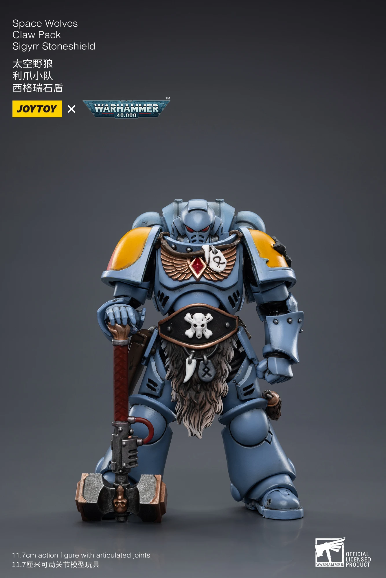 Joytoy Warhammer スペースウルフ　4体 Amazon.com: JoyToy Warhammer 40k: Space Wolves Sigyr