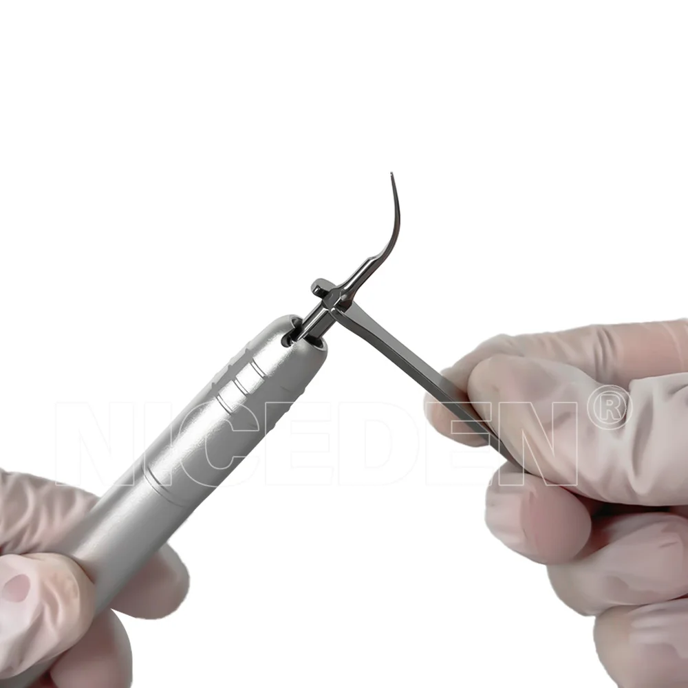 Dental Ultrasonic Air Scaler with 3 Tips Tooth Calculus Remover Cleaning Tool Handpiece Cleaner Dentist Lab Whiten Tooth