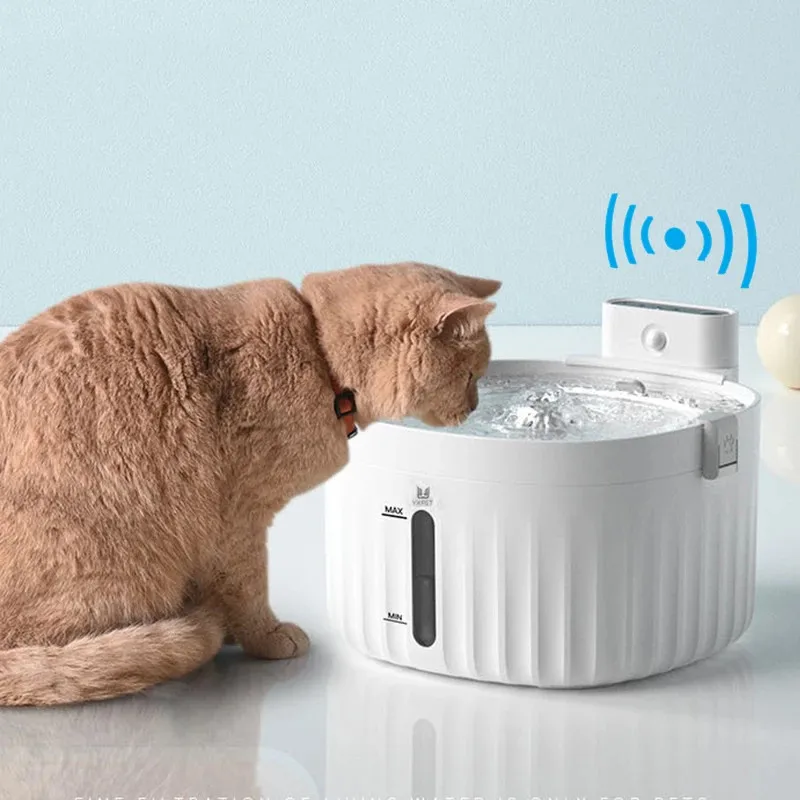 Water Fountain Cat Smart Sensor Drinking Fountain Automatic Feeder