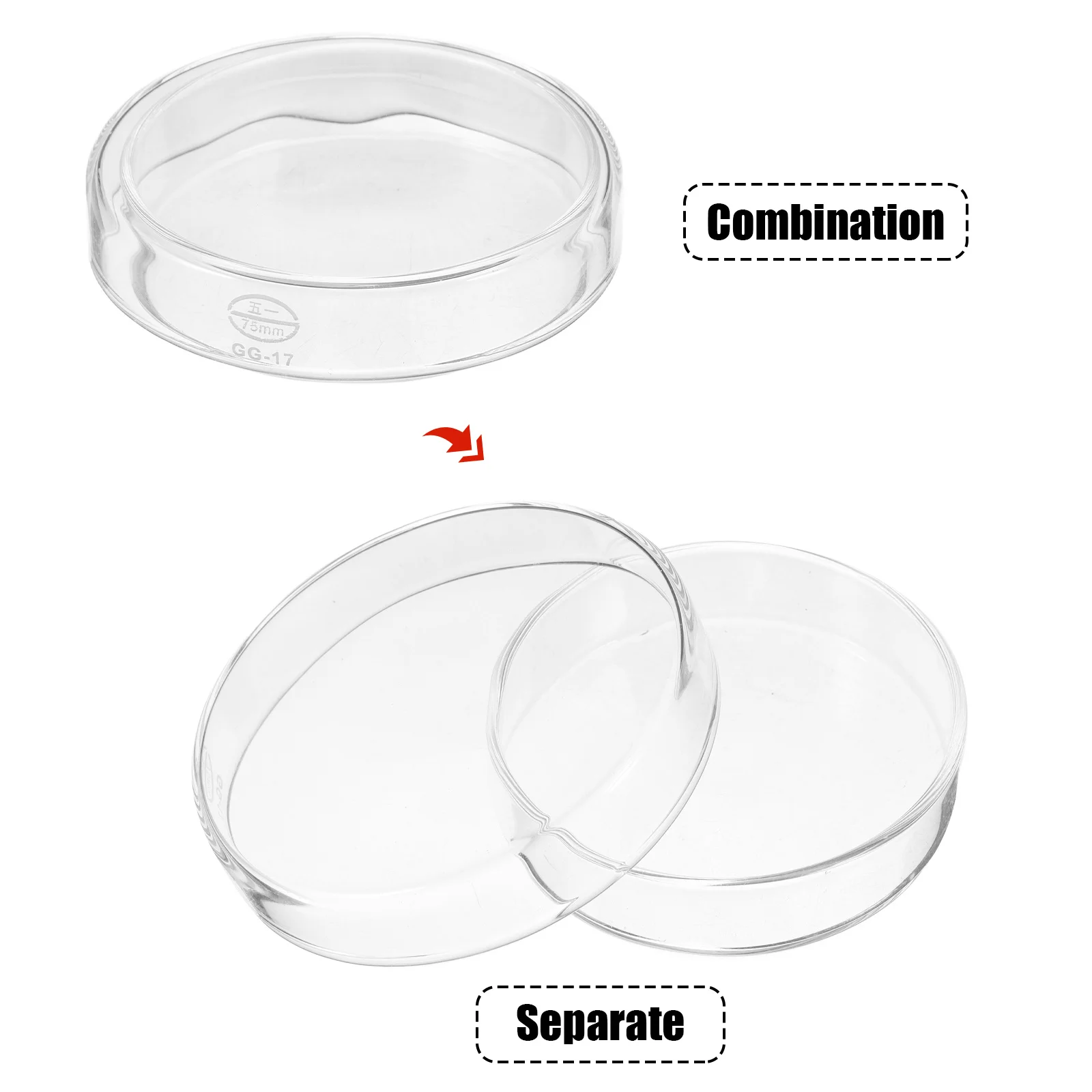1Set Glass Petri Dish Thickened Durable Cell Culture Plate Laboratory Culture Dish with Lid Clear Glass Petri Dishes