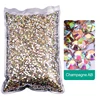Wholesal ChampagneAB Silver Bottom Glitter Loose Resin Non Hot Fix Rhinestones Cтраз Strass DIY Nails Art Decoration Y0053 1