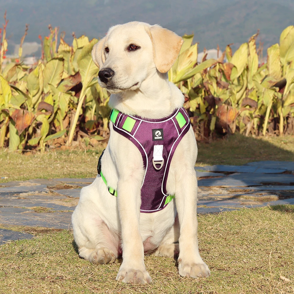 Dog Harness Image 20