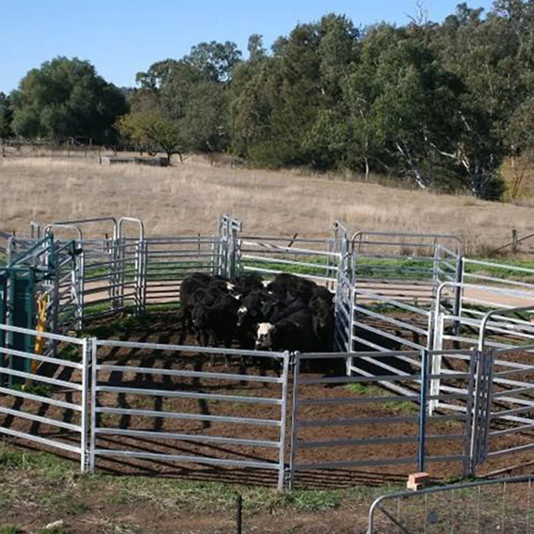 Corral Fence Portable Galvanized Cattle Panel Steel Horse Fence Farm Fence and Gates 4
