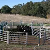 Corral Fence Portable Galvanized Cattle Panel Steel Horse Fence Farm Fence and Gates 4