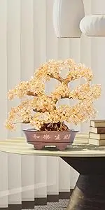citrine tree citrine crystal tree fengshui money tree
