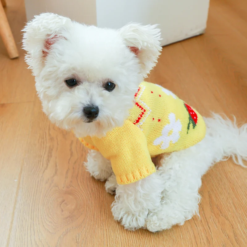 

Yellow Dog Sweater Cute Strawberry Knit Autumn and Winter Dog Warm Clothes Teddy Than Bear Two Legs Costume