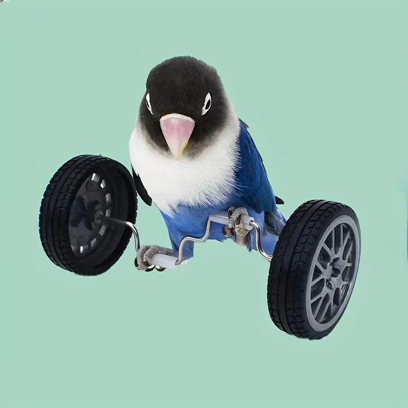 Bird Toys Parrot Balance Car Toy Pet Bird Interactive Skill Training Toys Exercise Fun Play Parrots Parakeets