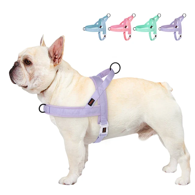 Adjustable Nylon Dog Harness Colorful Pet Dogs Vest Harness With Quicklace Control Handle for Small Medium Large Dogs Chihuahua Adjustable Nylon Dog Harness Colorful Pet Dogs Vest Harness With Quicklace Control Handle for Small Medium Large Dogs Chihuahua