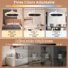 IRALAN Modern  ceiling fan with light LED Fan Light E27 Screw Fan Light Remote Control  Light Fan Ceiling Room decoration 3