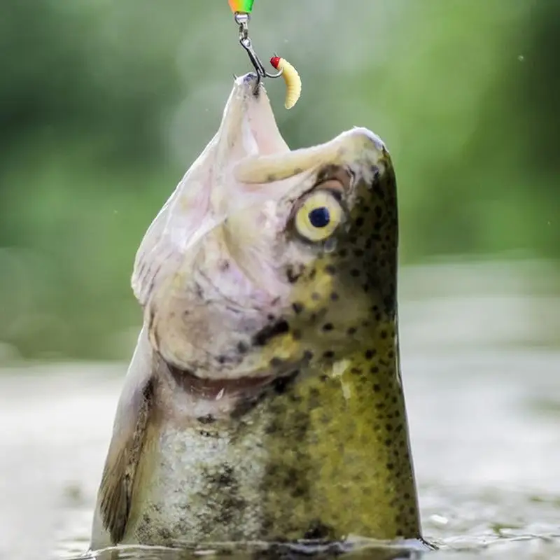 best cheap ultralight spinning rod combo 4'8