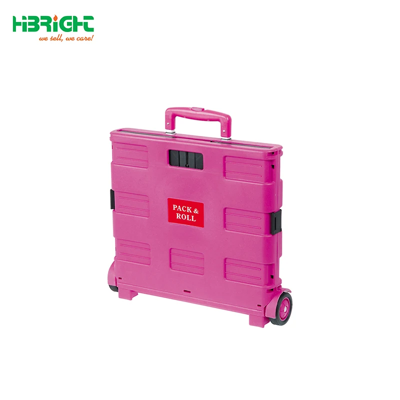 Carro Plegable Plastic Folding Shopping Cart