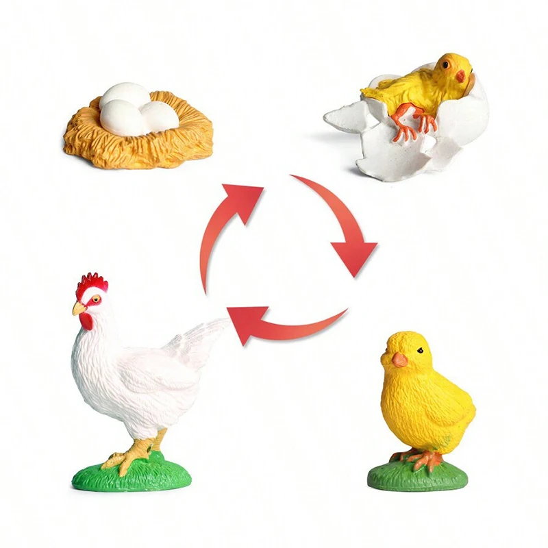 Plastic Model Toys Simulated Animal Growth Cycle Parent-child Education Puzzle Honeybee Turtle Butterfly Frog Ladybug Model TMZ childrens toys,parent child interactive toy