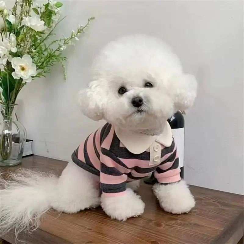 슈나우저 테디 요크 셔 셔츠, 원피스 스트라이프 반려동물 티셔츠, 강아지 코스튬, 부드러운 풀오버, 강아지 세트, 여름
