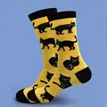 Yellow cat