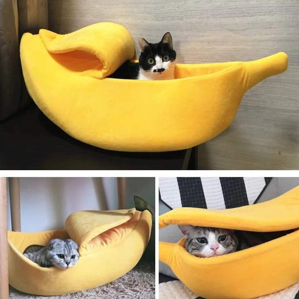 S7d05235cf6cd4937862f45b1d2e14c6cs