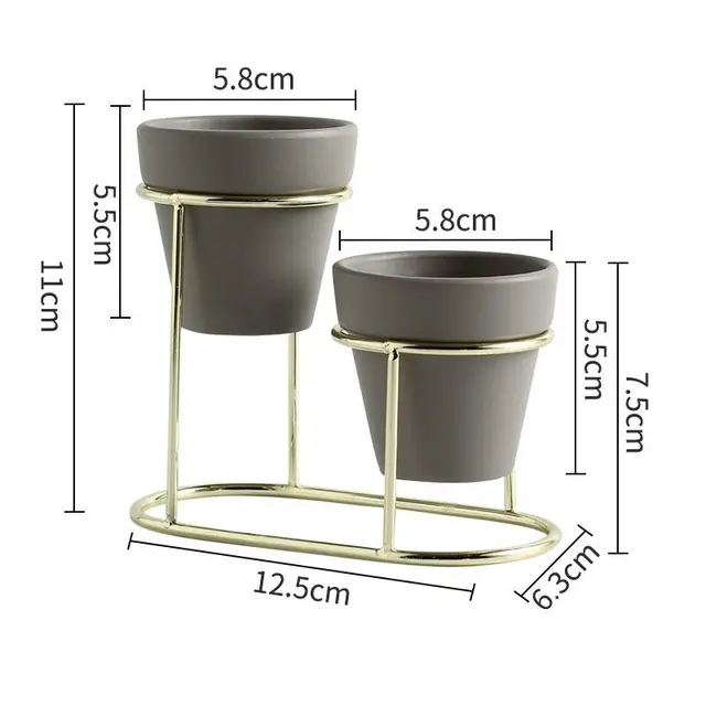 2 Golden gray